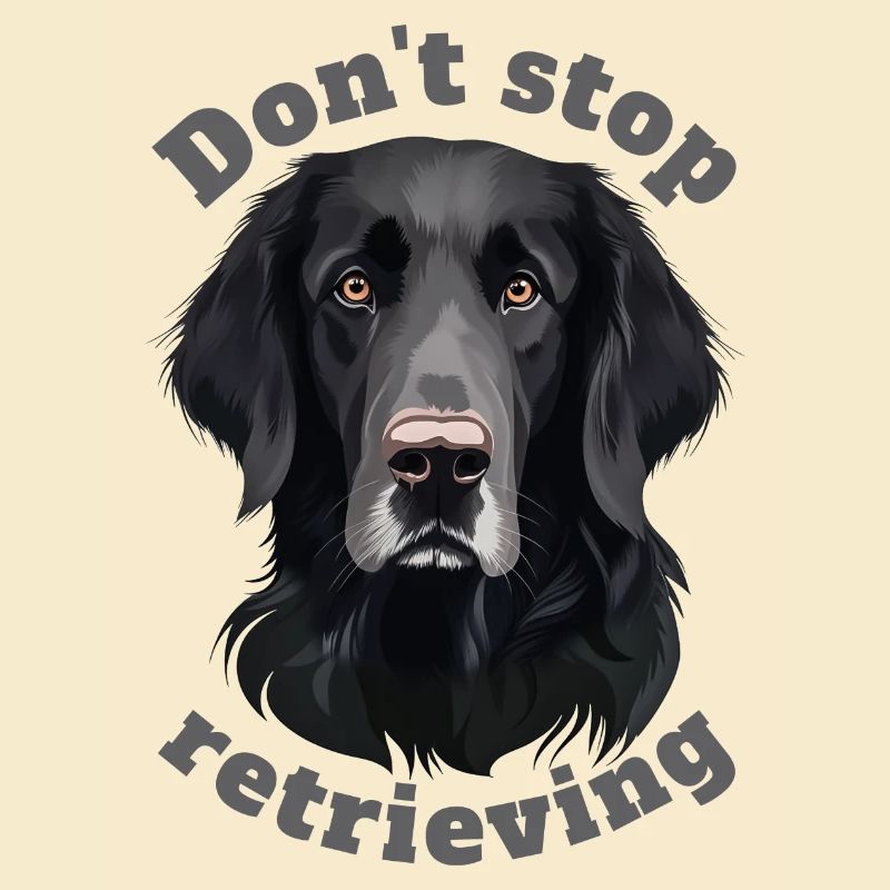 Don't stop retrieving - Labrador