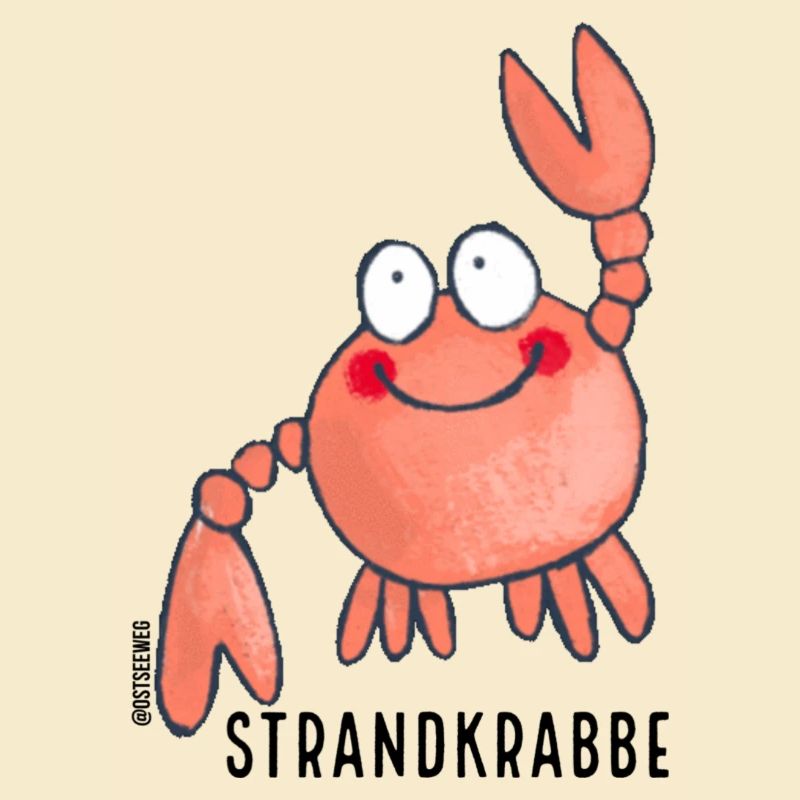 Strandkrabbe
