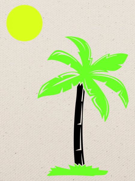 palm tree