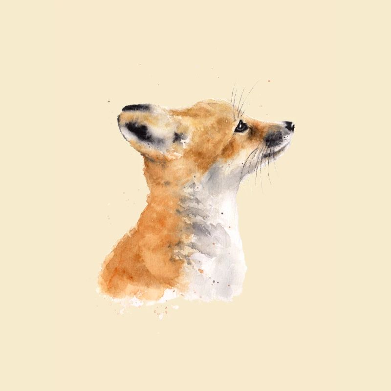 Fuchs