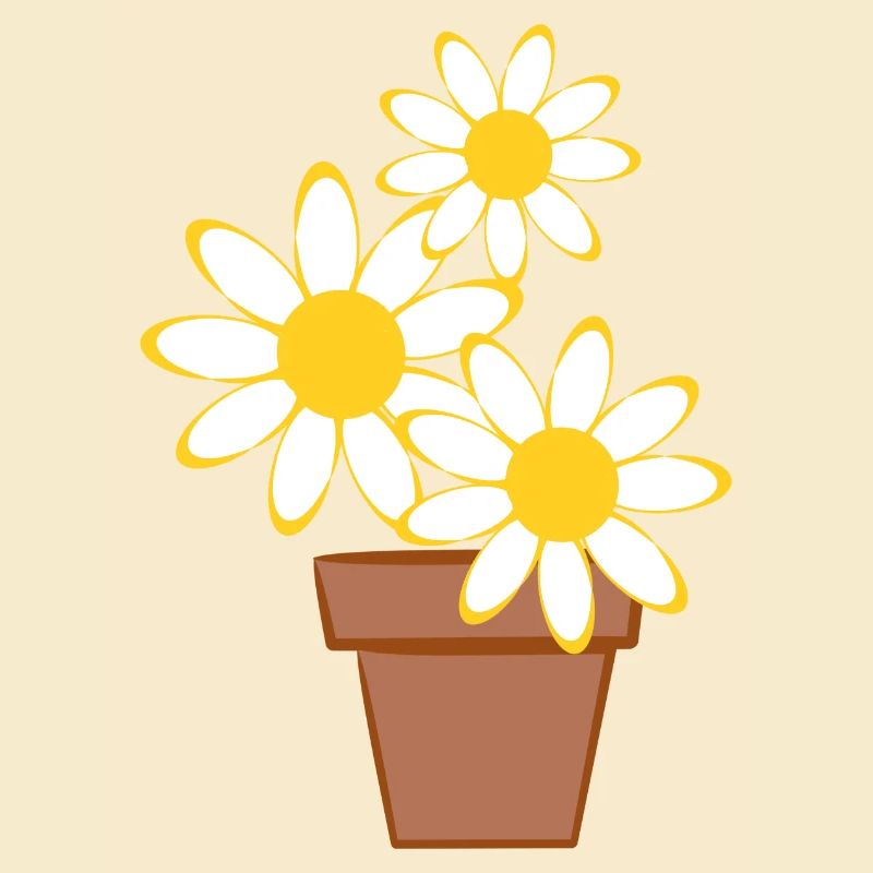 Gänseblümchen