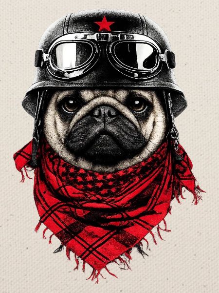 Kämpferischer Mops im Pilotenlook