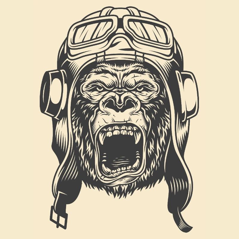 Conception du pilote Gorilla