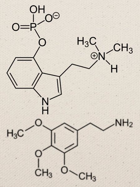 Psilocybin- und Meskalinmoleküle