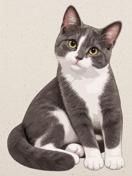 Balu