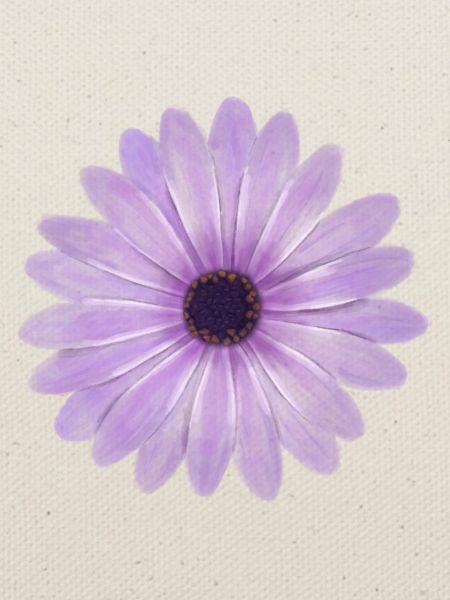 Pink Purple Flower