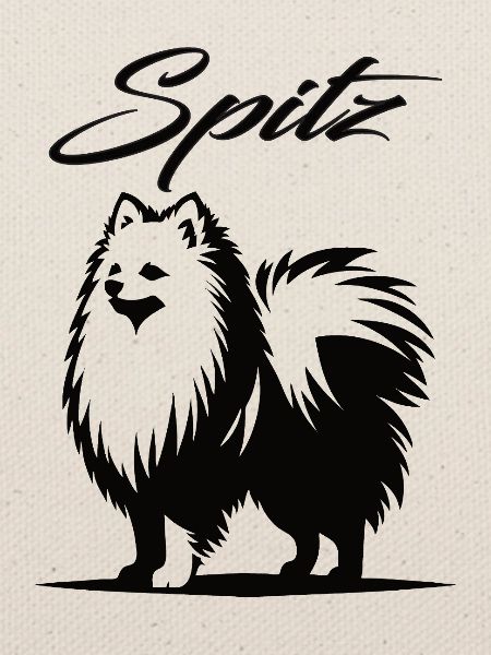 Spitz Design – Der charmante Wirbelwind