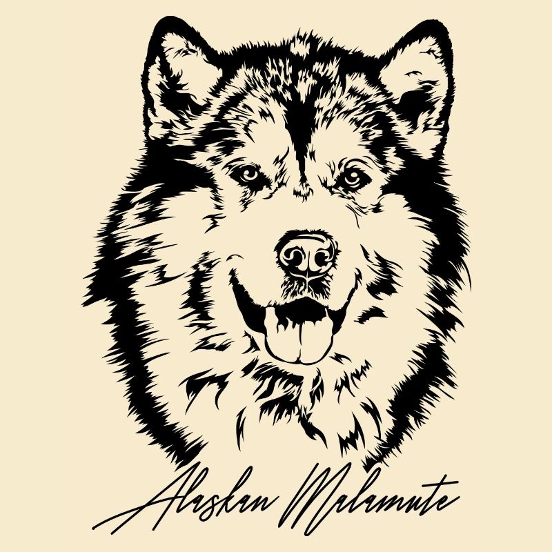 ALASKAN MALAMUTE Portrait Le cadeau des chiens de Wilsign