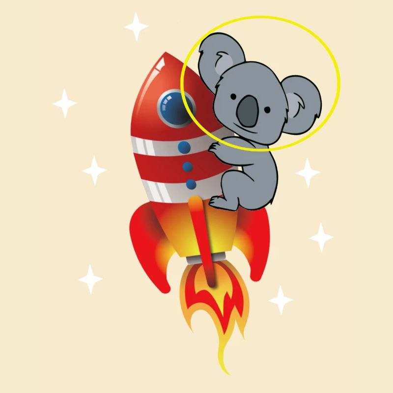 Koala dans l’espace
