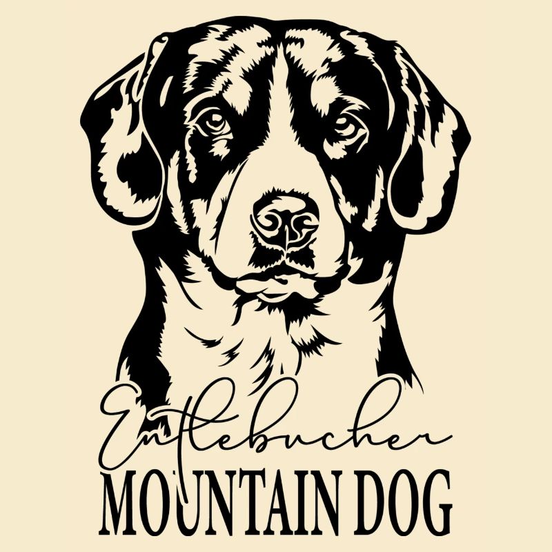 Entlebucher Mountain Dog Portrait Dogs Wilsigns