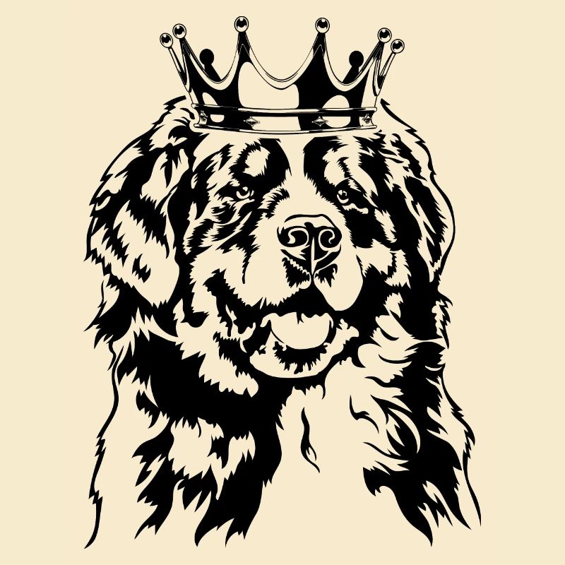 Bouvier Bernois Krone Chiens Chien Wilsigns
