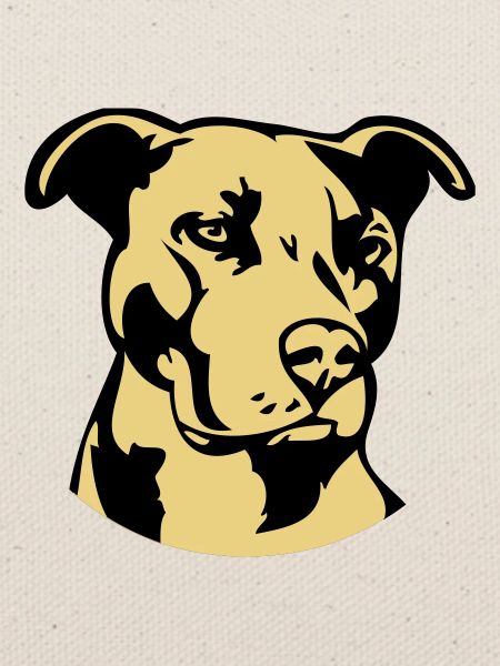 Pitbull zweifarbig - Hund Kampfhund