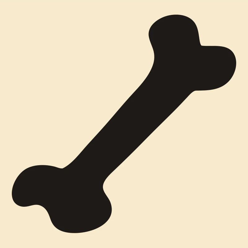 Knochen - Bone