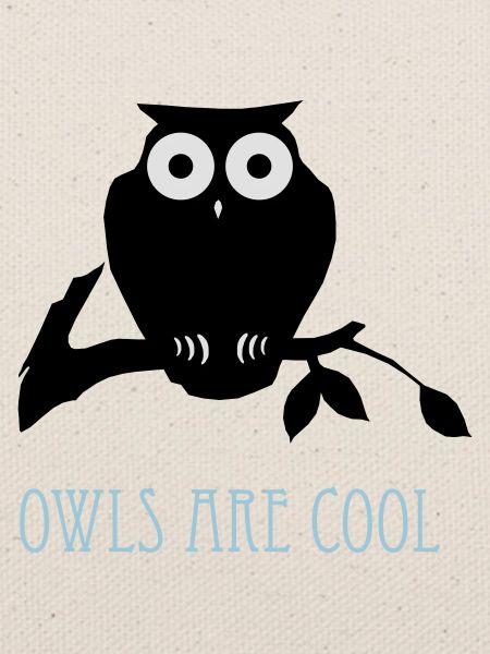 owls are cool