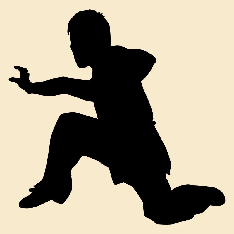 kung fu