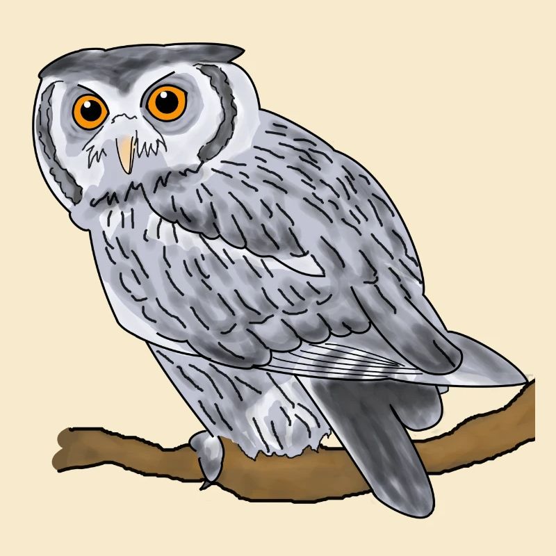 Uhu, Eule