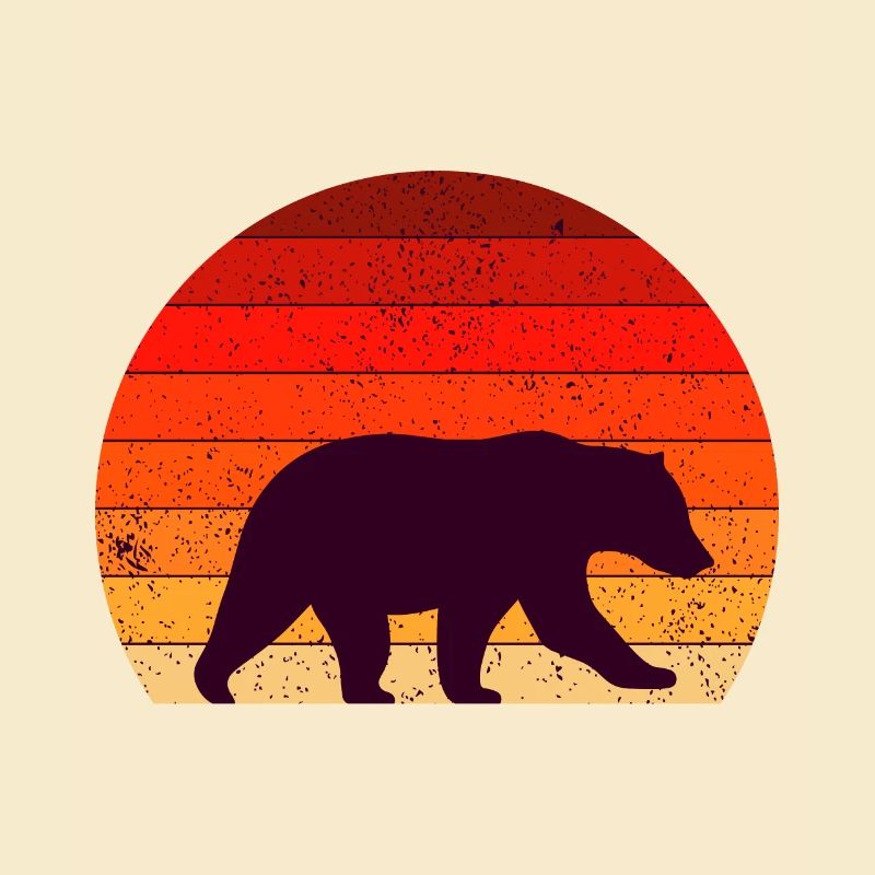 Eisbär Bär Bären Eisbären
