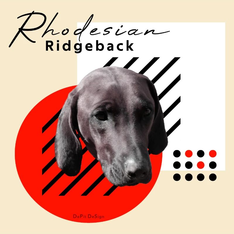 RR / Rhodesian Ridgeback