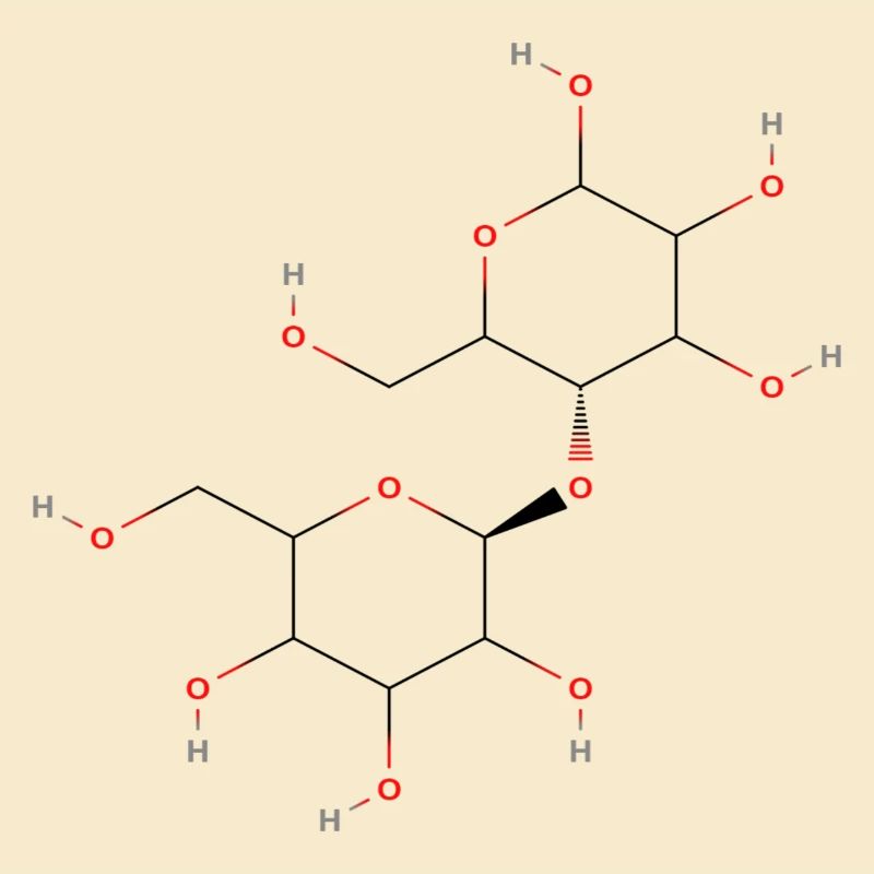 Cellulose Molecule - Colored Structural Formula