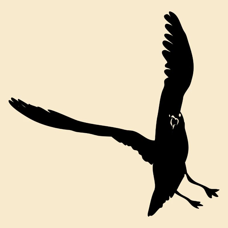 Möwe Silhouette