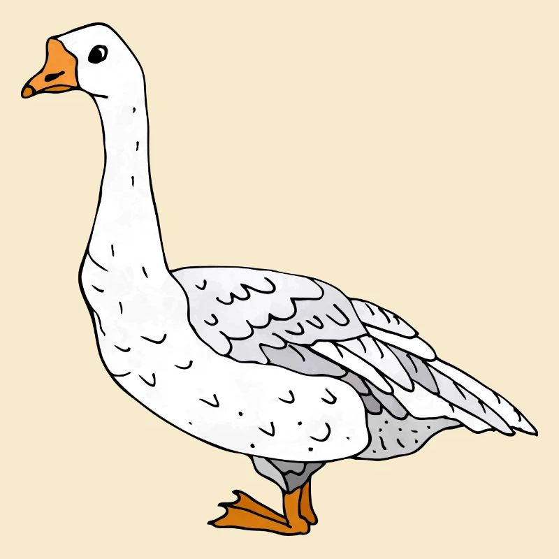 Gans