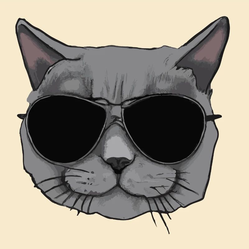 Grey British cat with sunglasses