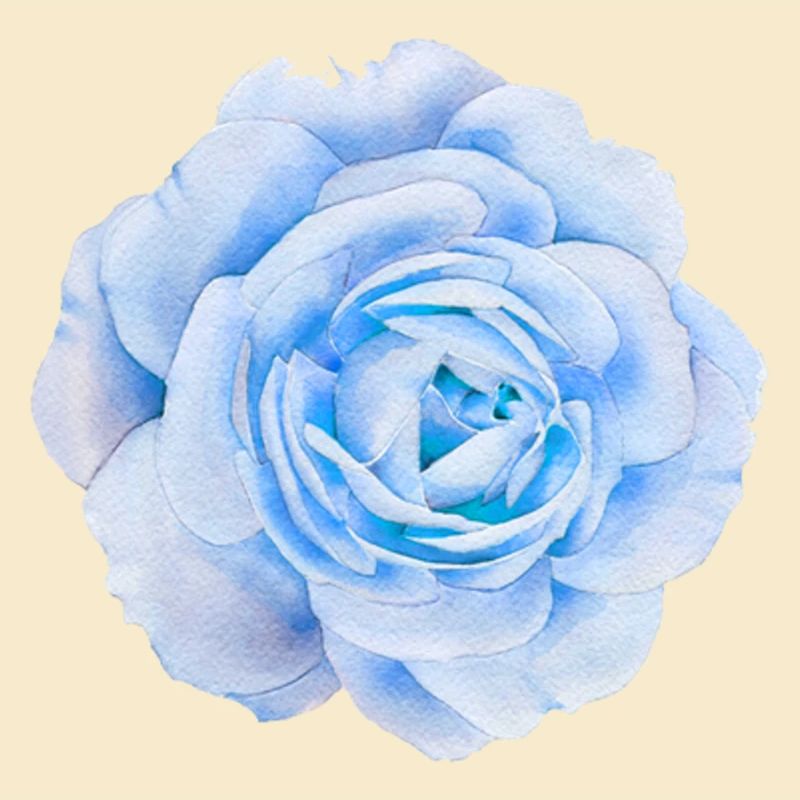 4FEF9AA9 BD30 444D 8897 44D2529F0FFE