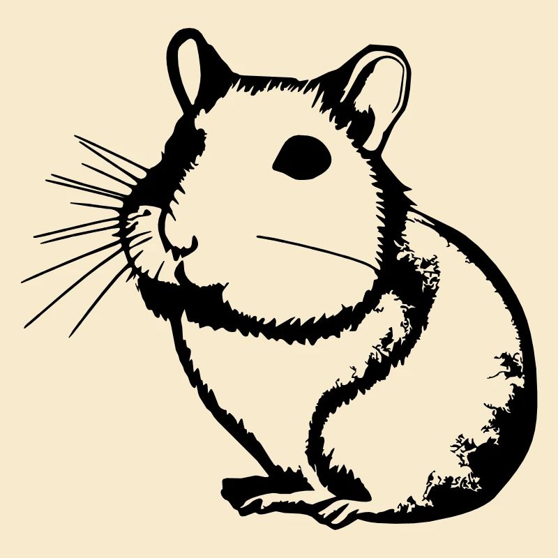 Hamster Mignon Animal Rongeurs Animaux Pet Vector 5