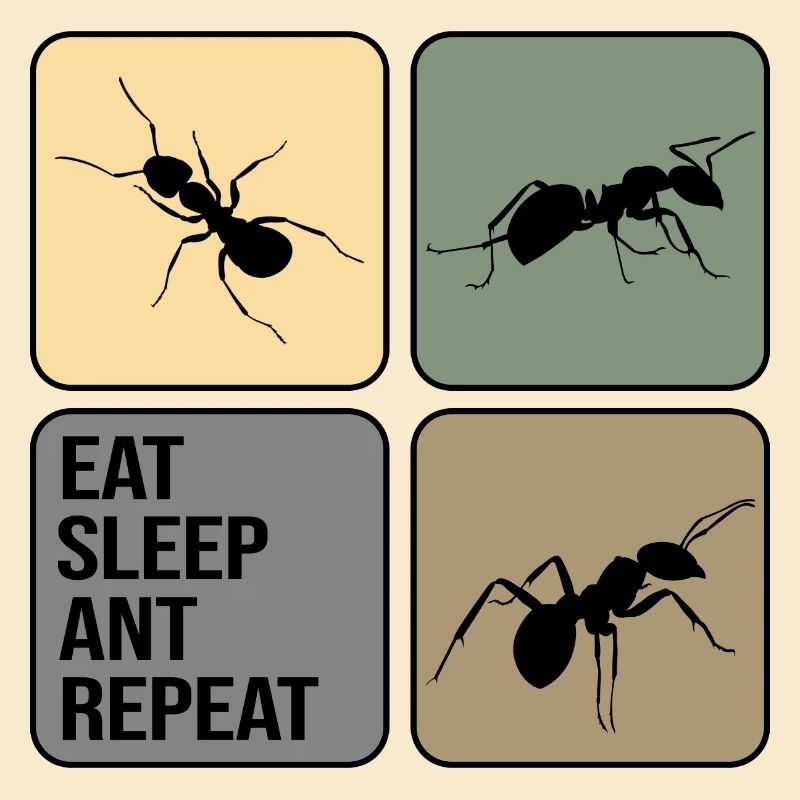 Ant ant State Fire ant ant-life