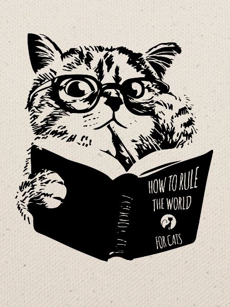 Katzen beherrschen die Welt