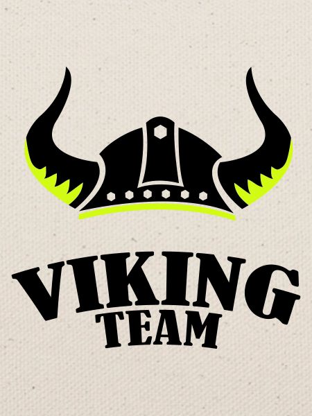 Viking Team