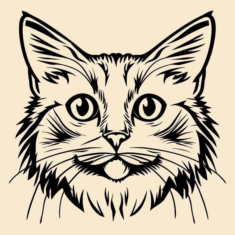 Chat, Motif De Chat, Visage De Chat