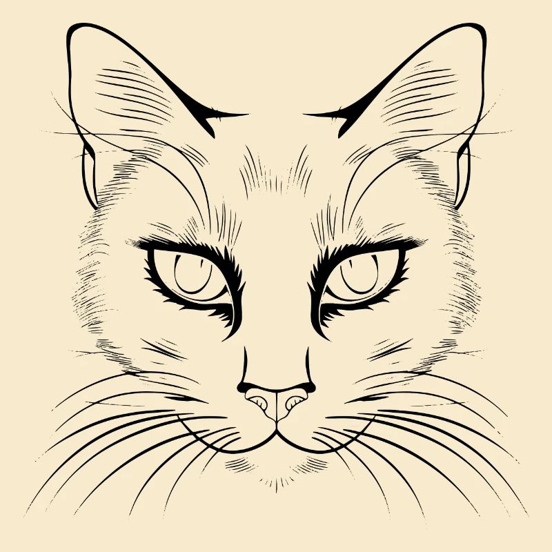 Chat, Motif De Chat, Visage De Chat