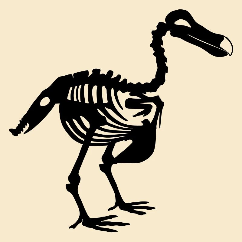 Dodo