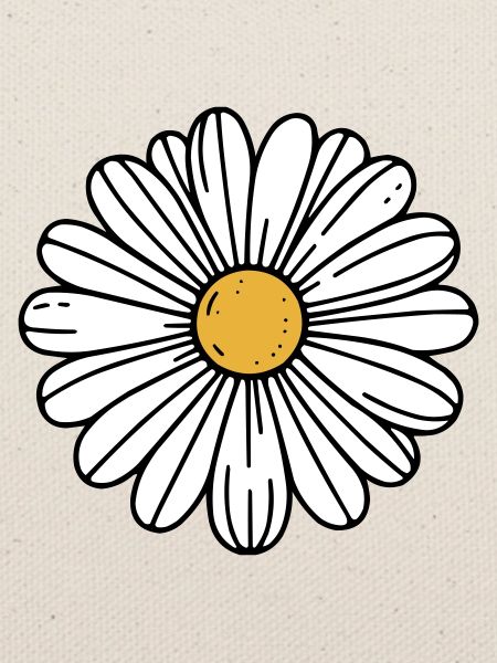 Daisy