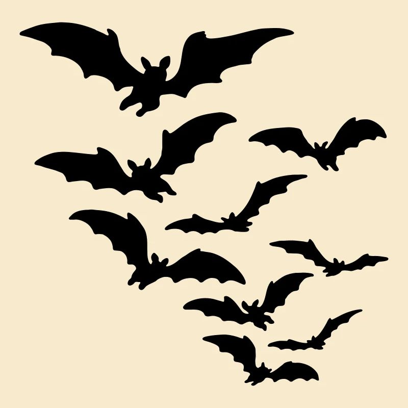 fledermaus