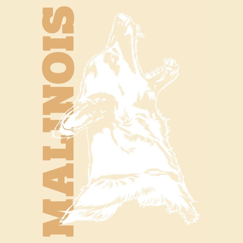 Malinois