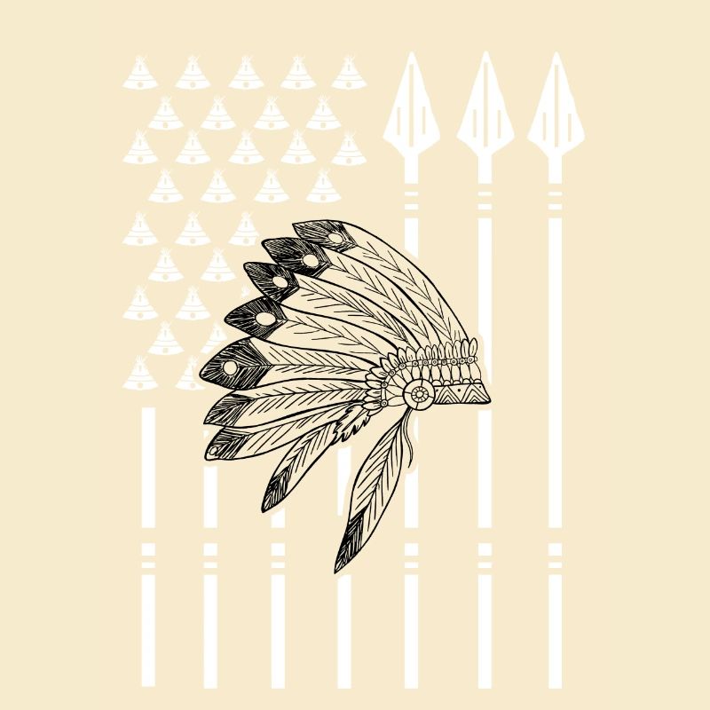Native American flag gift