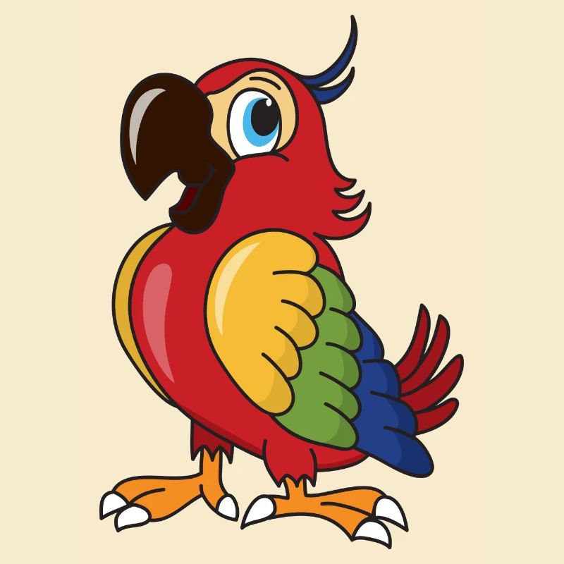 Oiseaux oiseaux perroquet