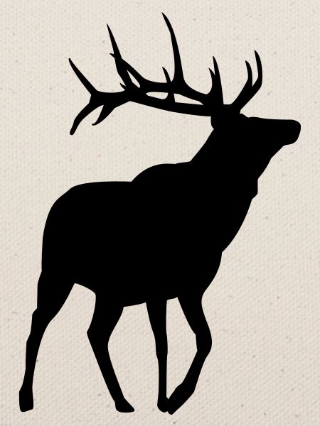 Hirsch