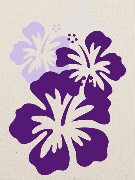hibiskus violett