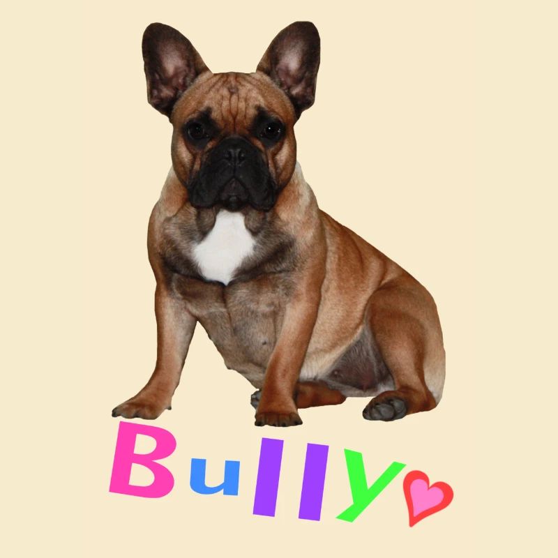 Français Bouledogue