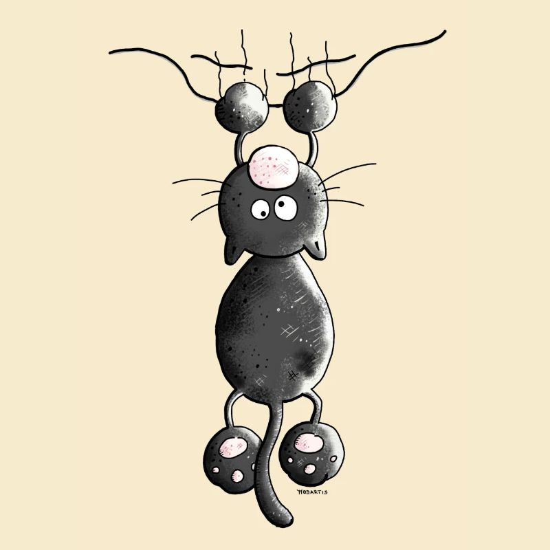 Crazy Cat - Cats - Kitten
