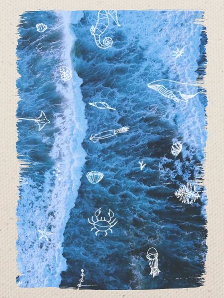 OCEAN