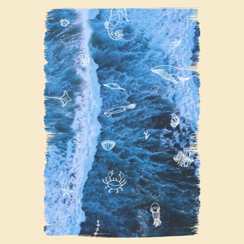 OCEAN