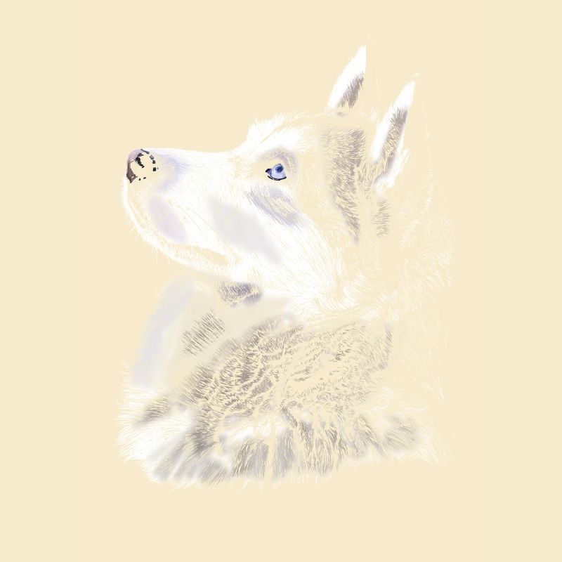 Husky
