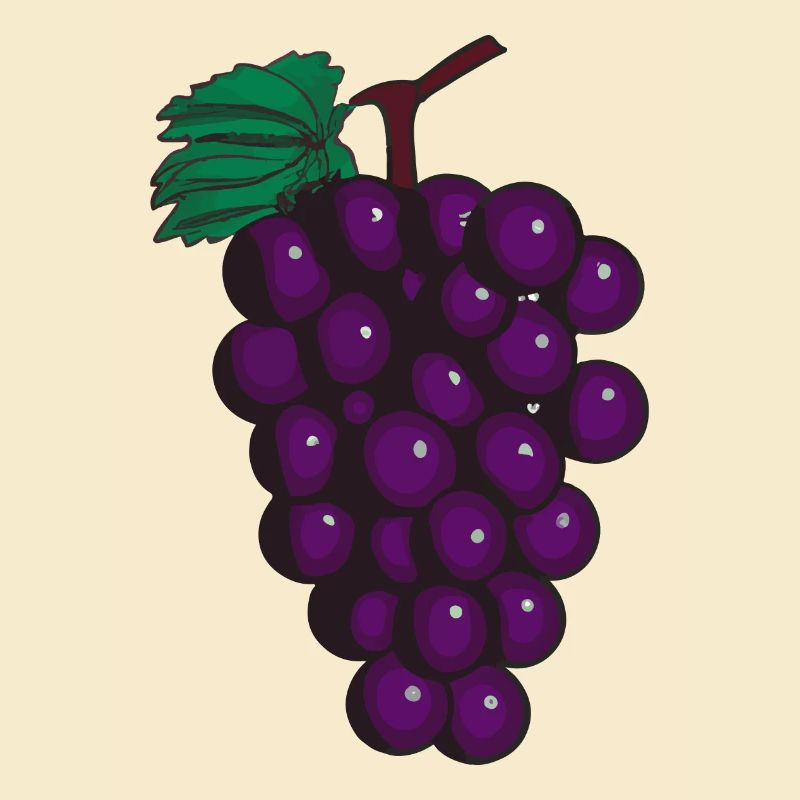 Grape Grapes Wine Illustration Gift Idea