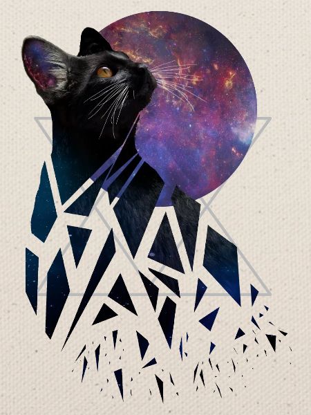 Space Cat - Space Animals Serie