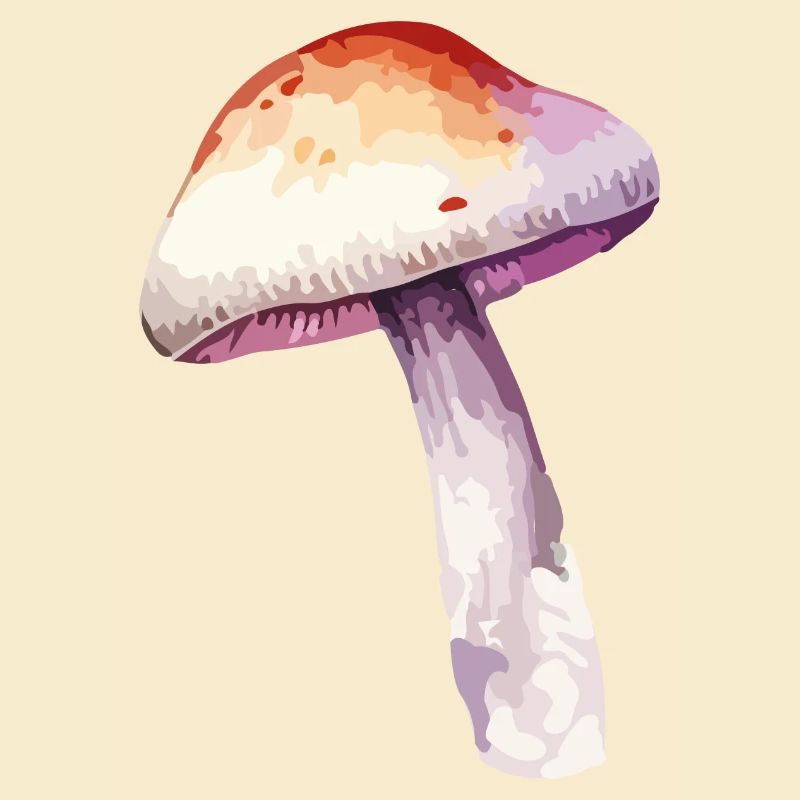 pilz