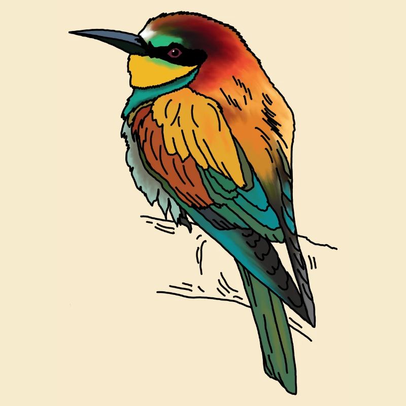 Bee-eater